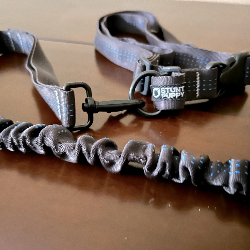 Stunt puppy leash for running.